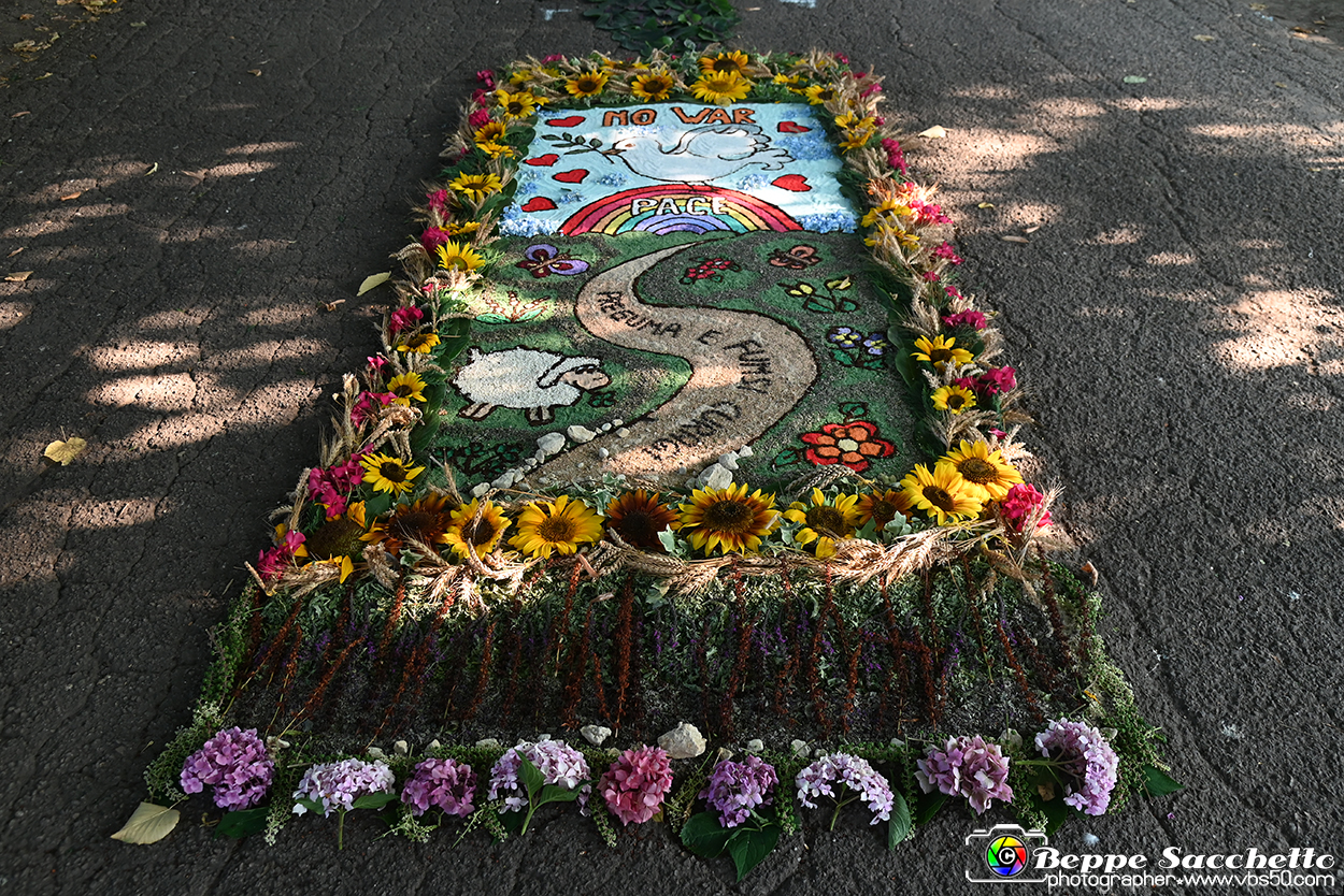 VBS_9807 - Infiorata Santuario della Madonnina di Villanova d'Asti 2024.jpg